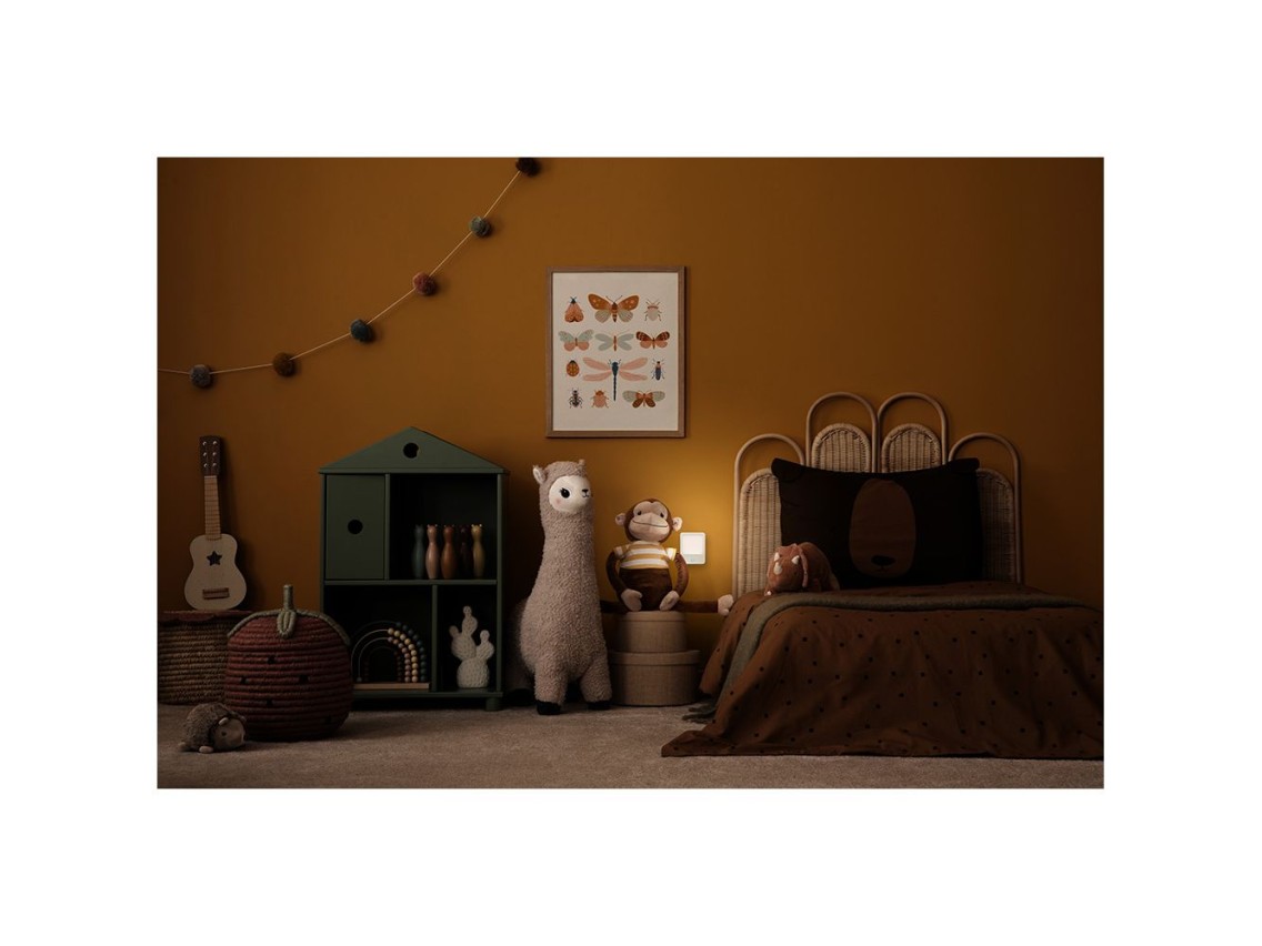 Night light with motion sensor and plug