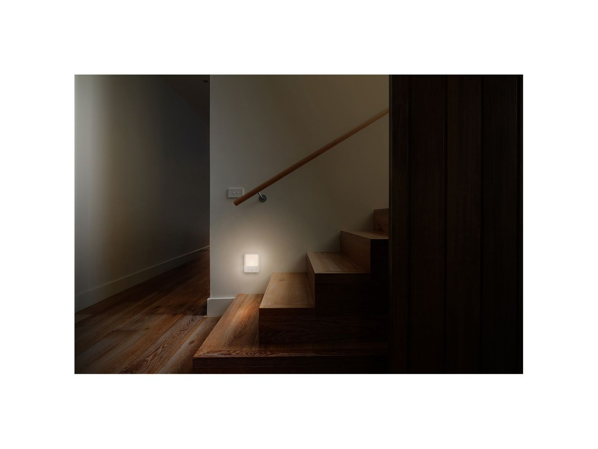 Night light with motion sensor and plug