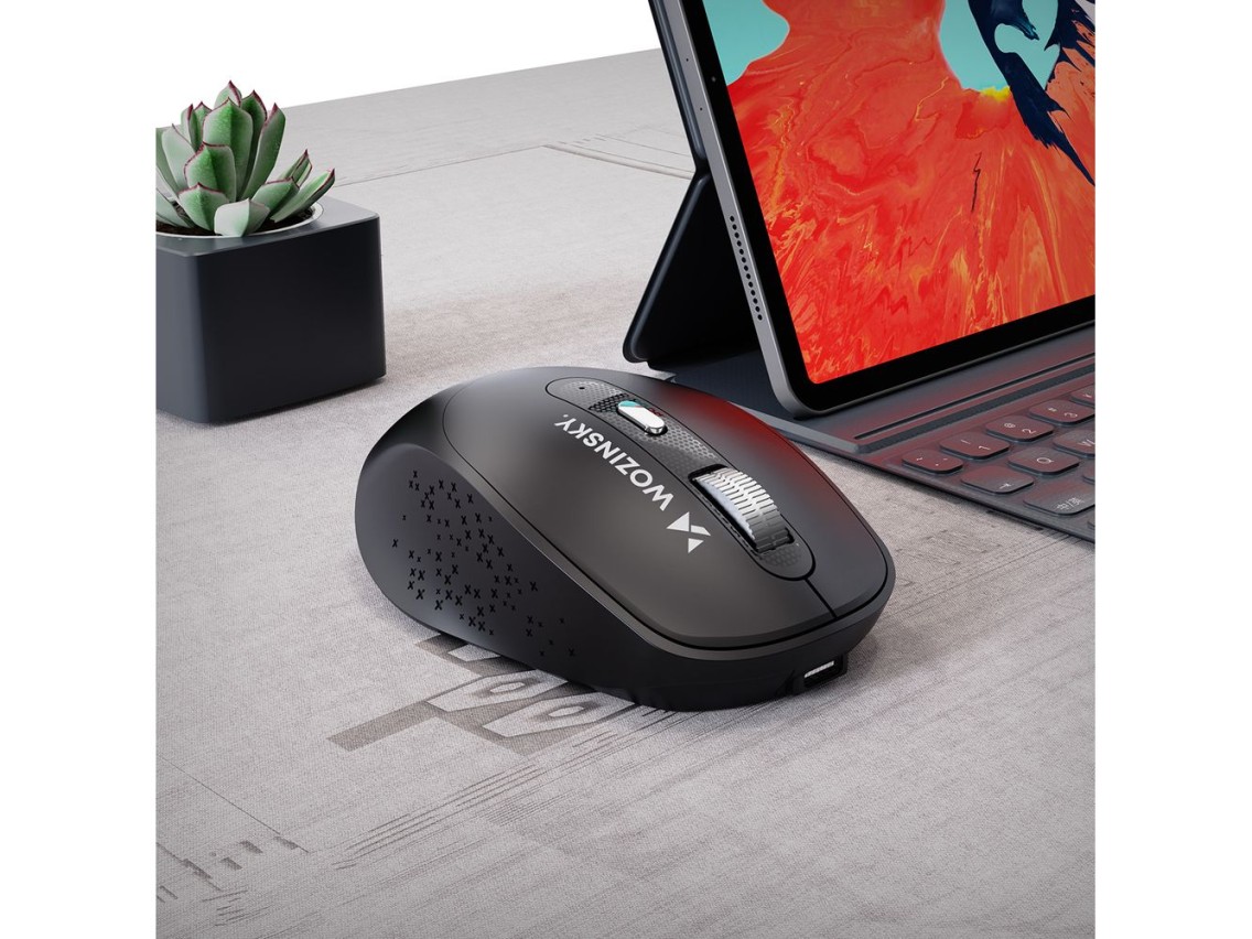 Mouse sem fio ergonômico Wozinsky WMGK-1134 - Preto
