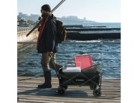 Wozinsky WZP-100 beach, tourist, garden trolley, durable, wide wheels, with safety net up to 100 kg 