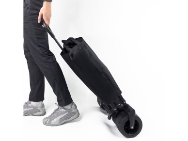 Wozinsky WZP-100 beach, tourist, garden trolley, durable, wide wheels, with safety net up to 100 kg 