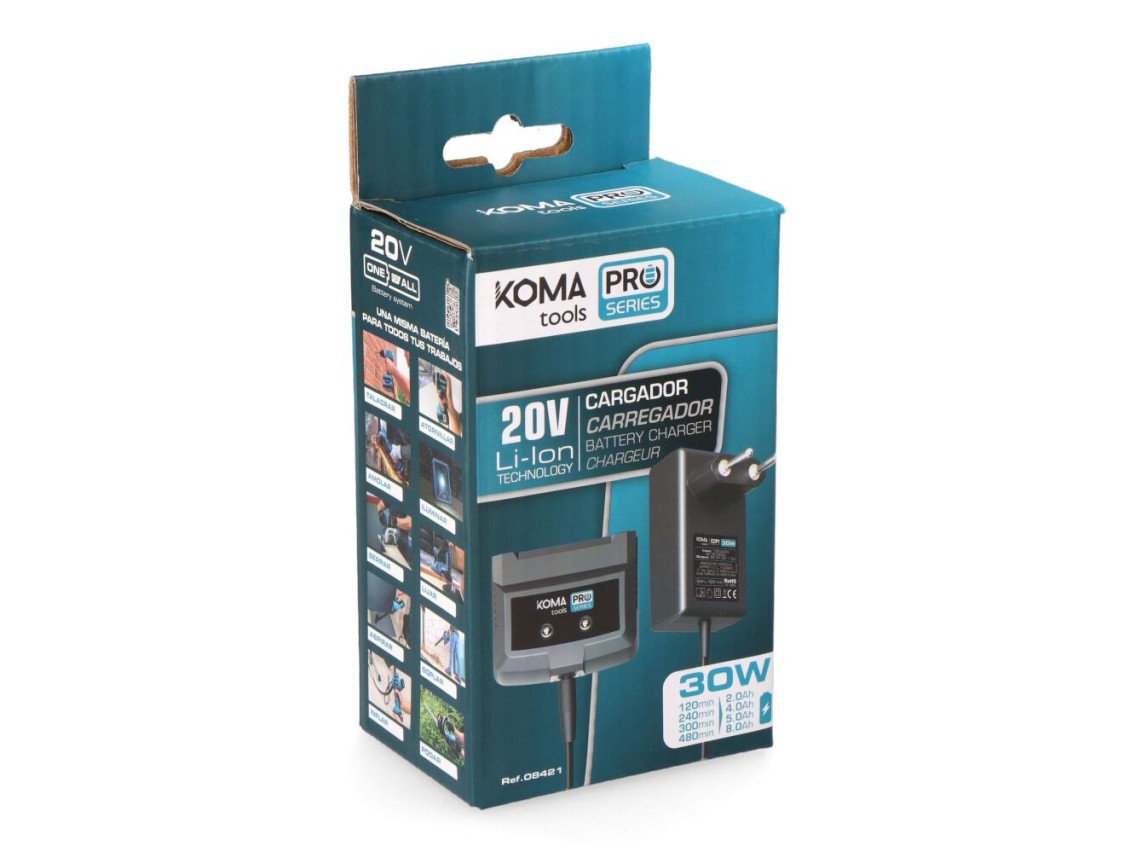 Cargador de bateria 20 v 30 w