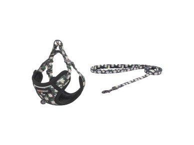 Conjunto para gatos Dogness arn�s y correa 1,5m (Daisy Black)