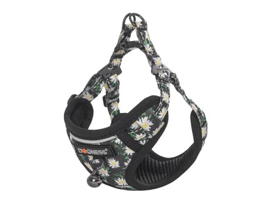 Conjunto para gatos Dogness arn�s y correa 1,5m (Daisy Black)