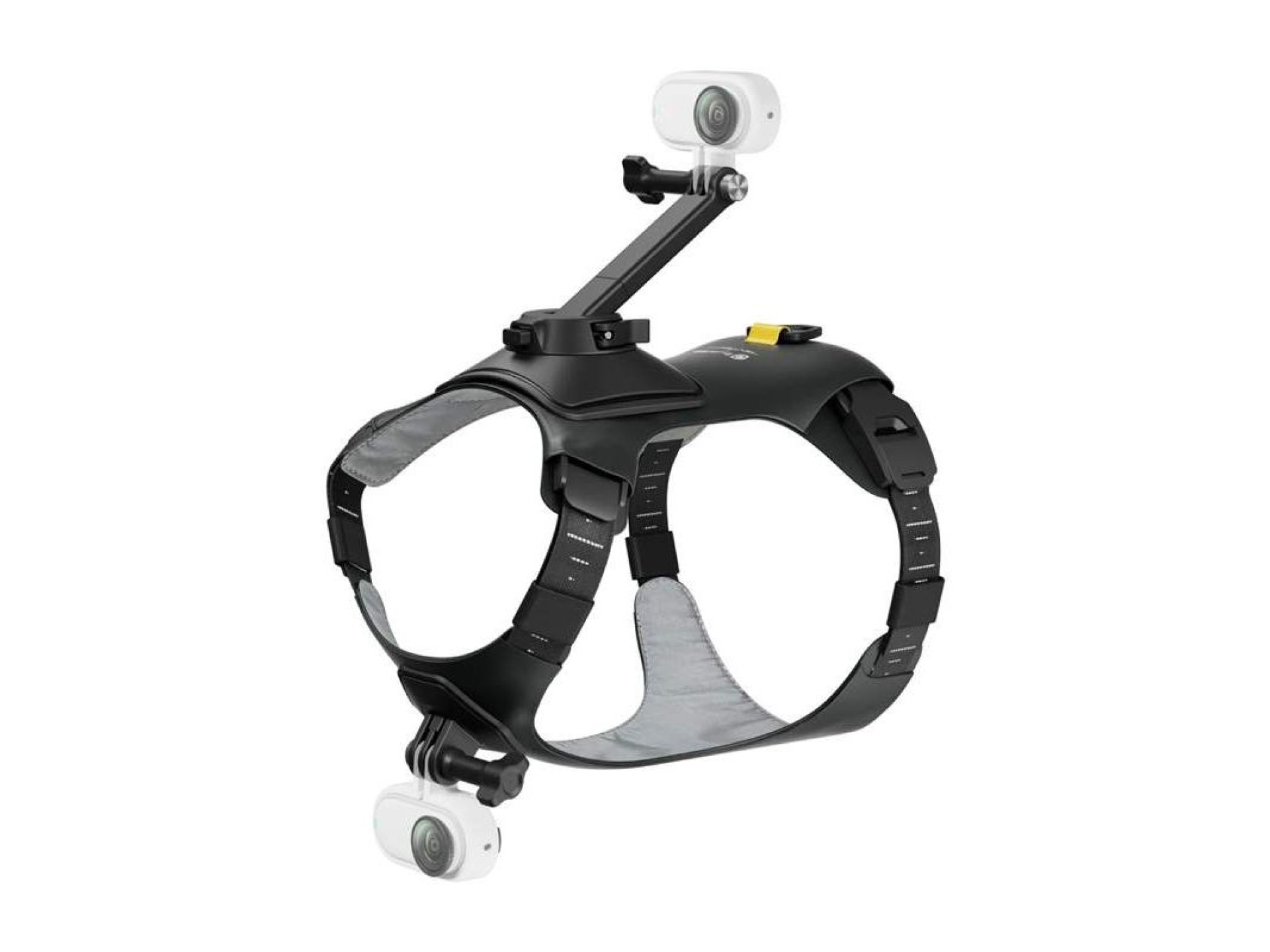 Pet harness size S for mounting Insta360 GO 3/ GO 3S cameras