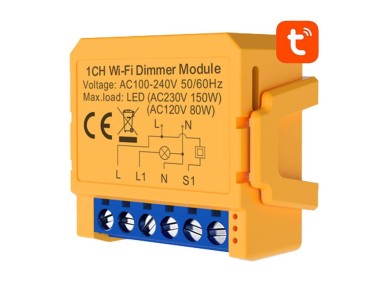 Smart socket switch WiFi Avatto DMS16-2 TUYA