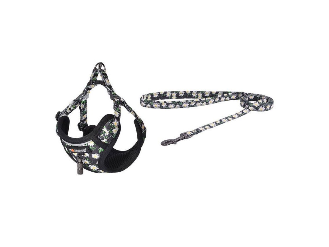 Set de paseo Dogness con correa de 1,5 m y arnés para perro (multicolor)