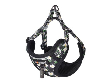 Set de paseo Dogness con correa de 1,5 m y arn�s para perro (multicolor)
