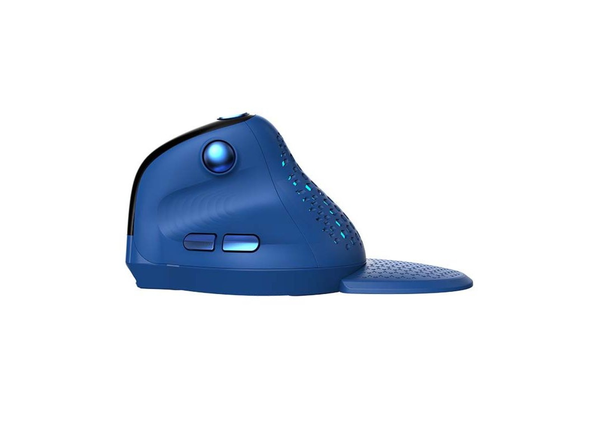Bezprzewodowa mysz pionowa Delux M618XSD BT+2.4G RGB (niebieska)