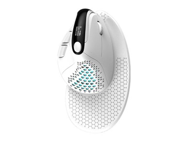 Delux M618XSD Wireless Vertical Mouse