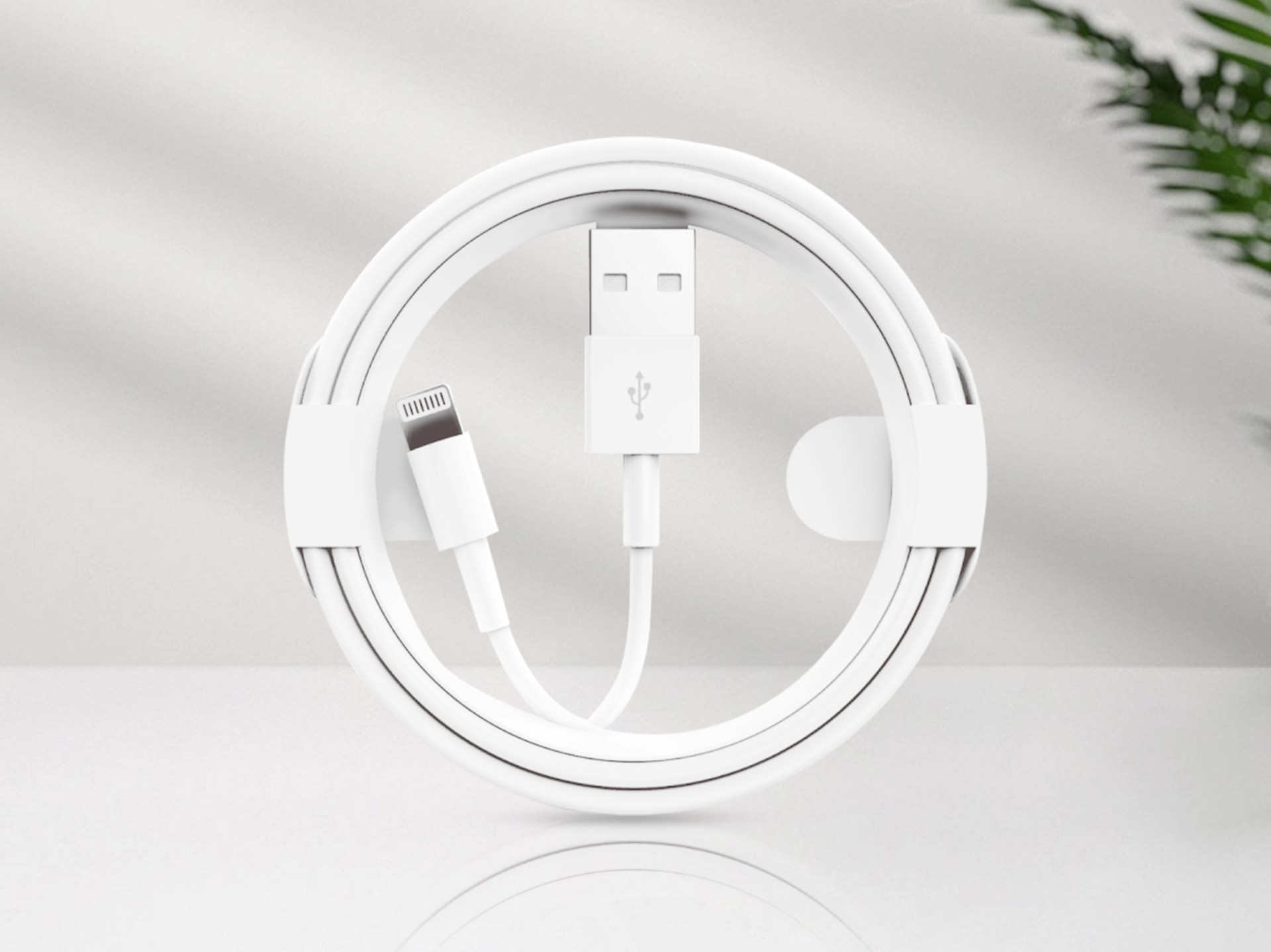Techancy Data Cable 2.4a 1m TB1669, USB-IP8/X/11-14 Interface, Compatible with iPhone, iPad Various