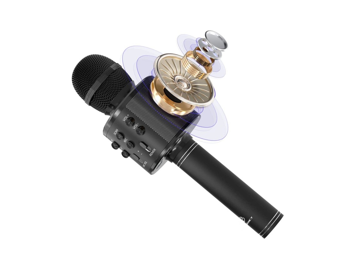 Techancy KZ1561 Wireless Microphone, Portable Karaoke, Bluetooth Speaker, FM Radio and Voice Changer