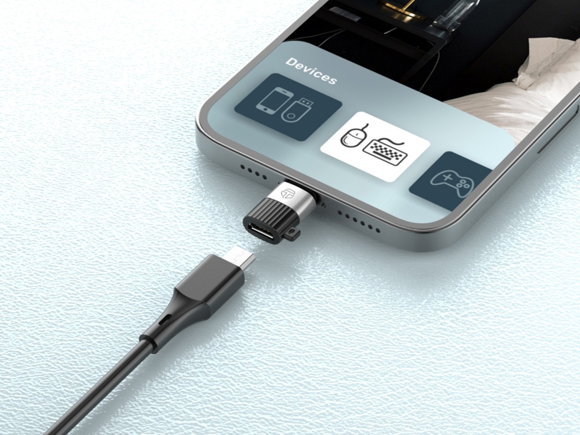 Techancy OTG Adapter, KK2106, Lightning to Micro, Supports Charging and Data Transfer, Compact and P