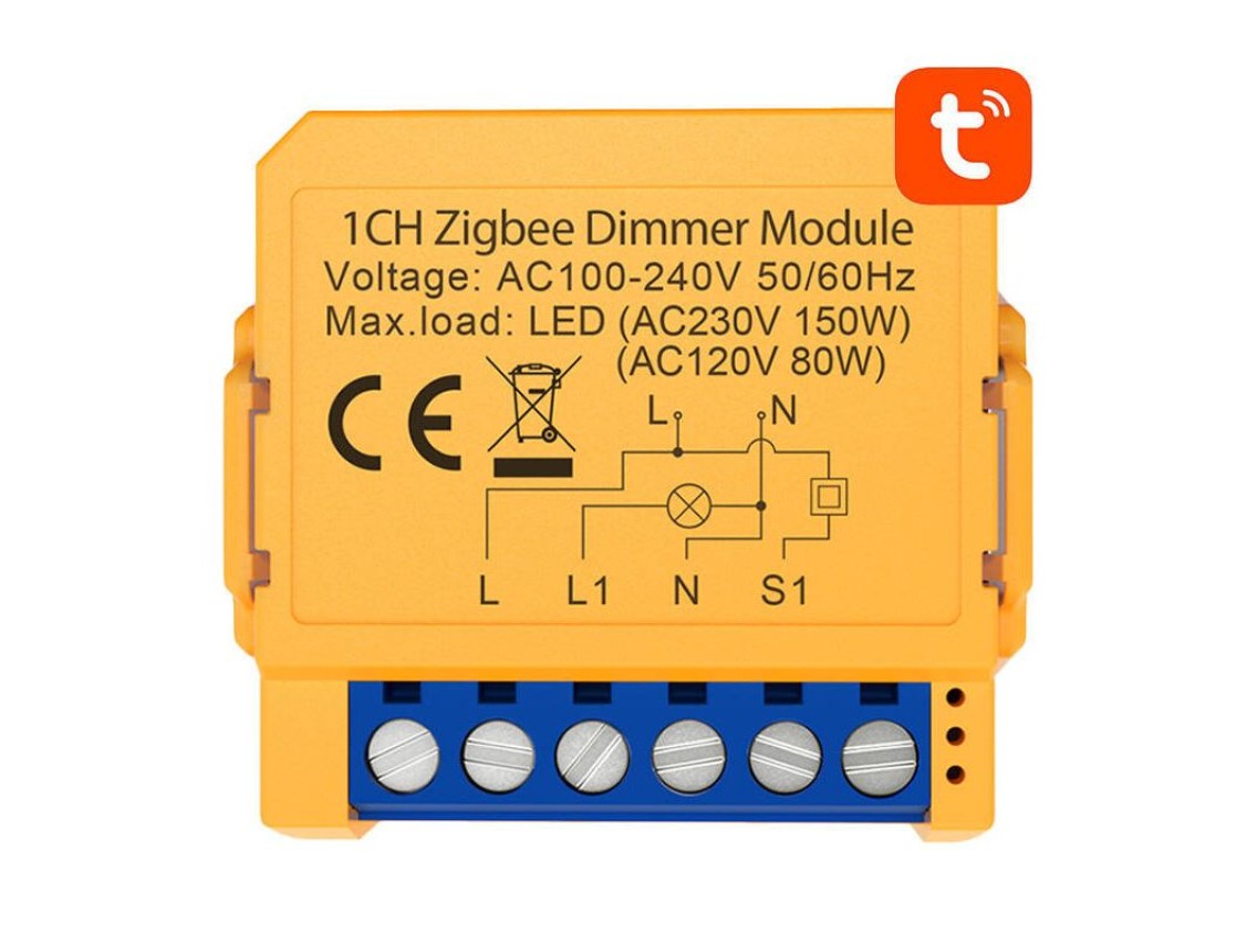 Smart socket switch ZigBee Avatto ZDMS16-2 TUYA