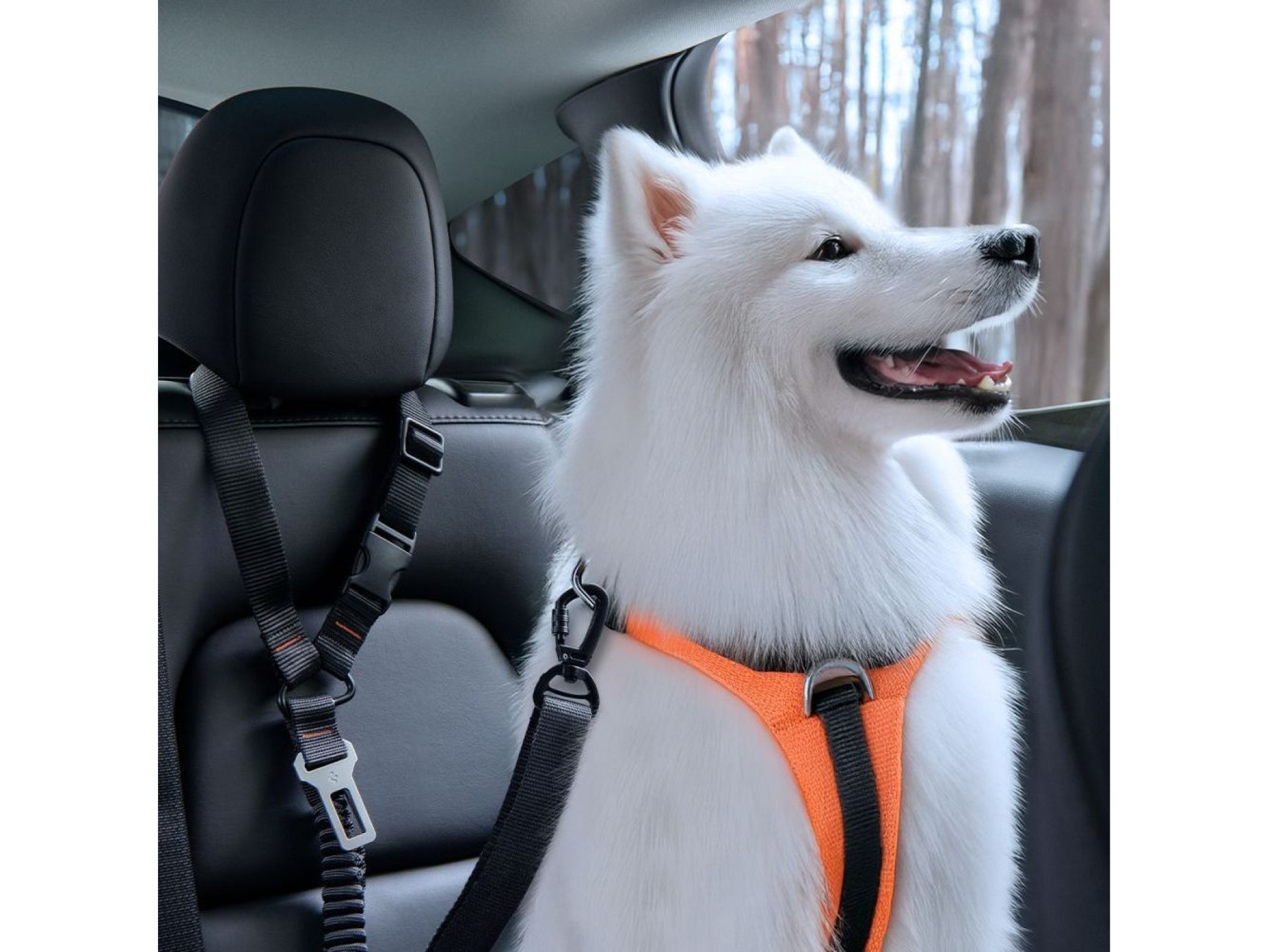 Spigen PS100 Universal Pet Seat Belt - Black