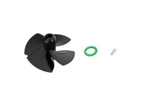 Preto Preto