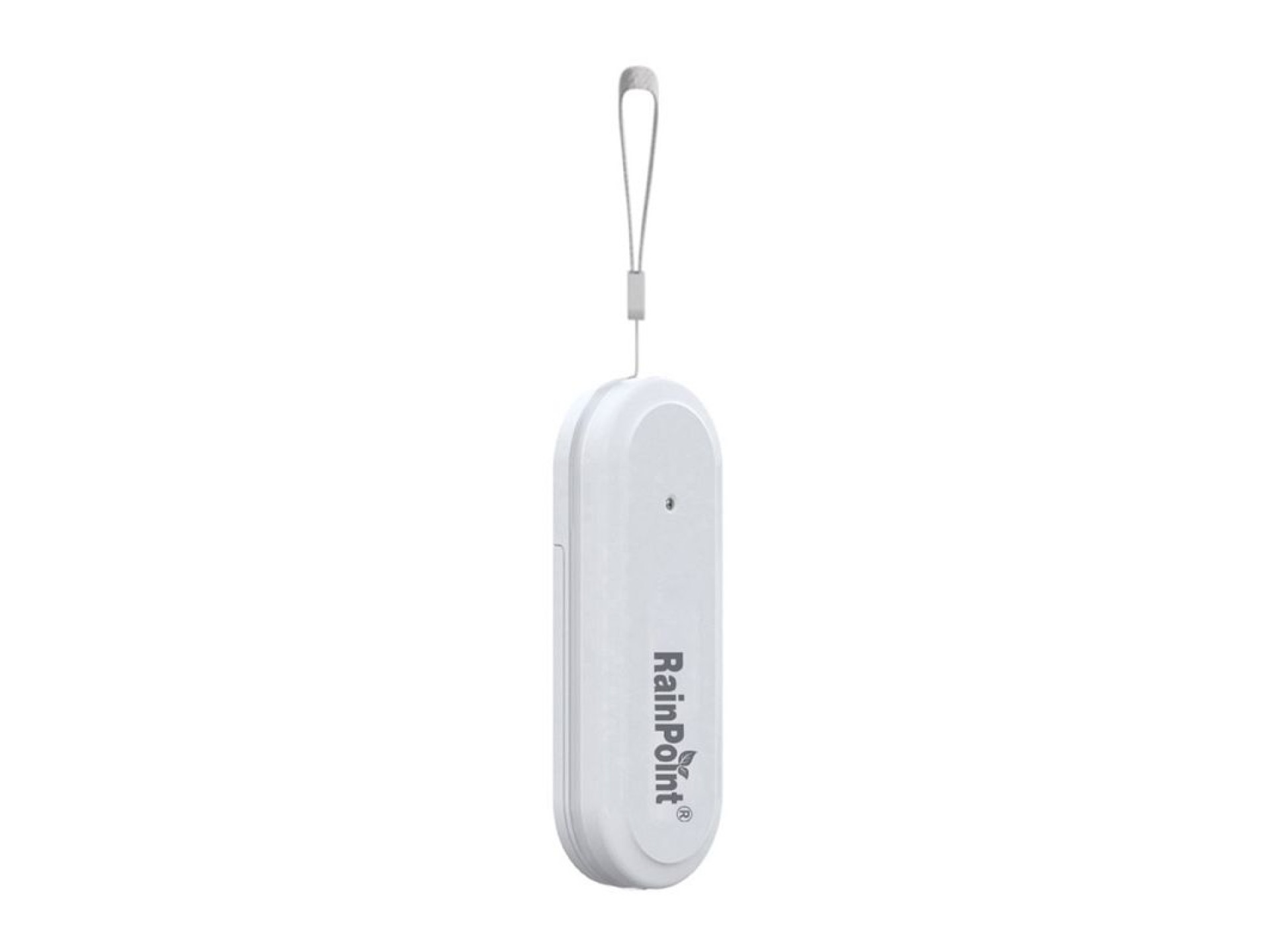 Rainpoint Smart+ Smart Thermohygrometer