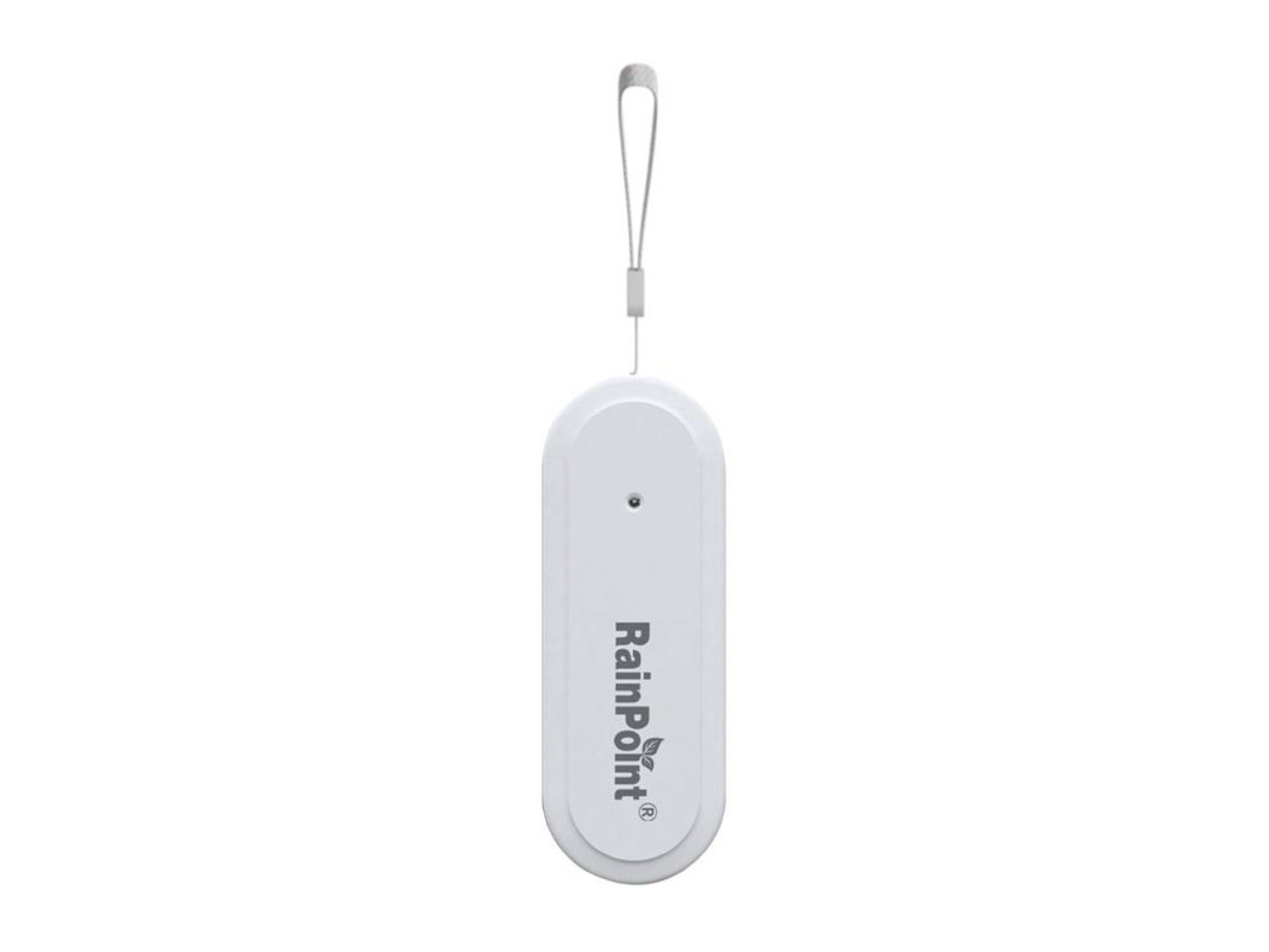 Rainpoint Smart+ Smart Thermohygrometer