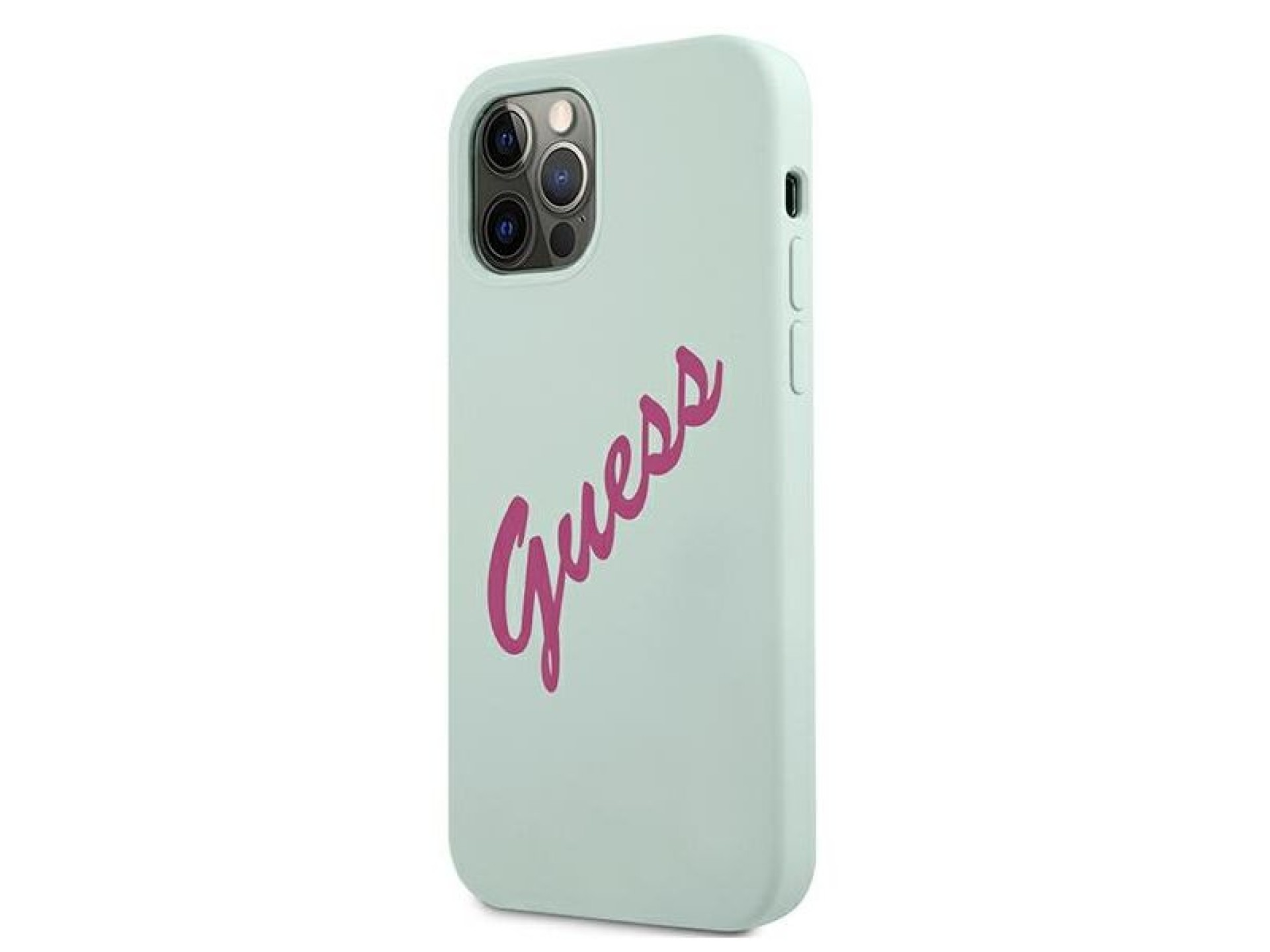 Guess GUHCP12MLSVSBF iPhone 12/12 Pro 6.1