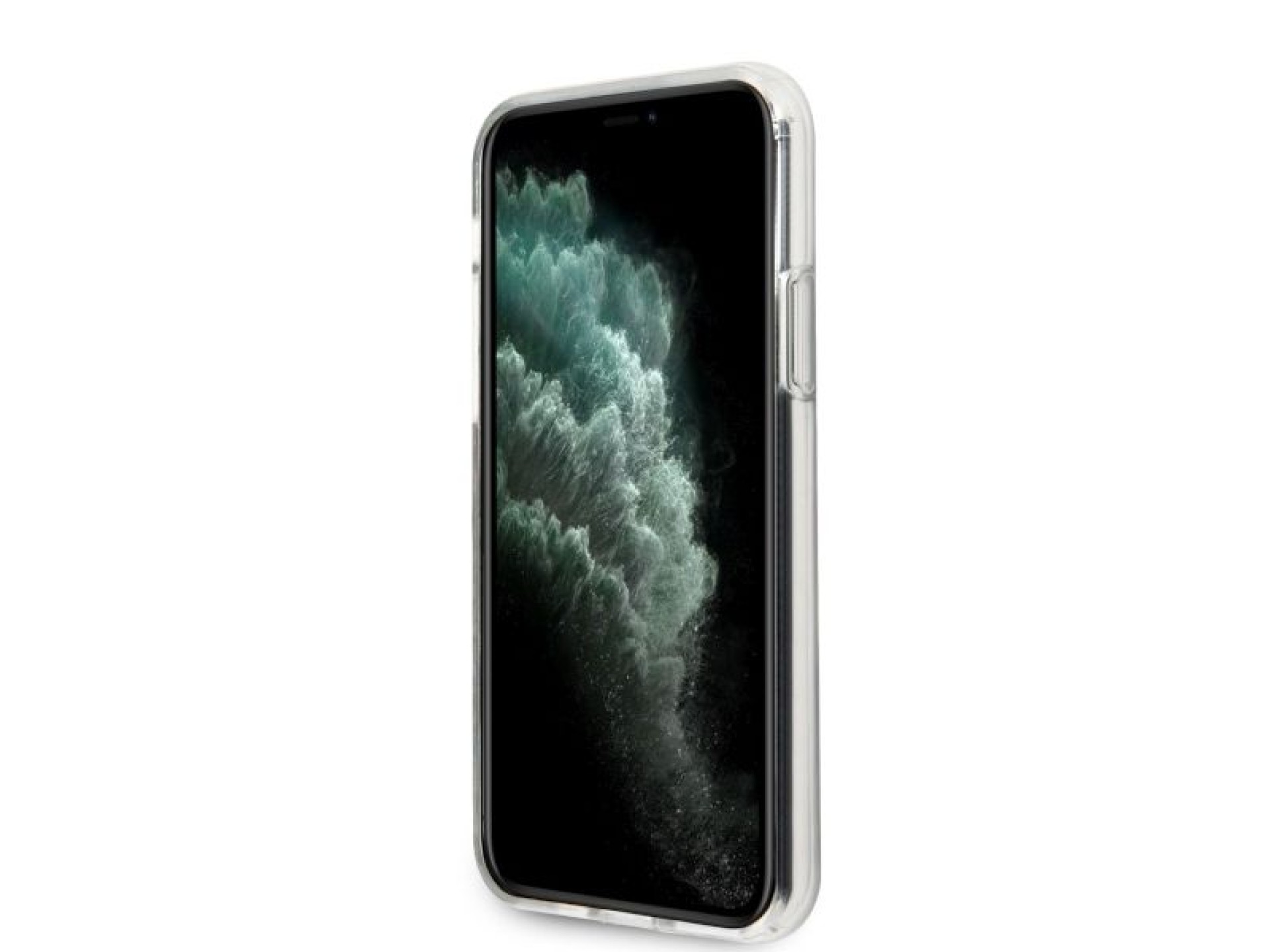 Guess GUHCN65IMLFL01 iPhone 11 Pro Max black/black N°1 Flower Collection