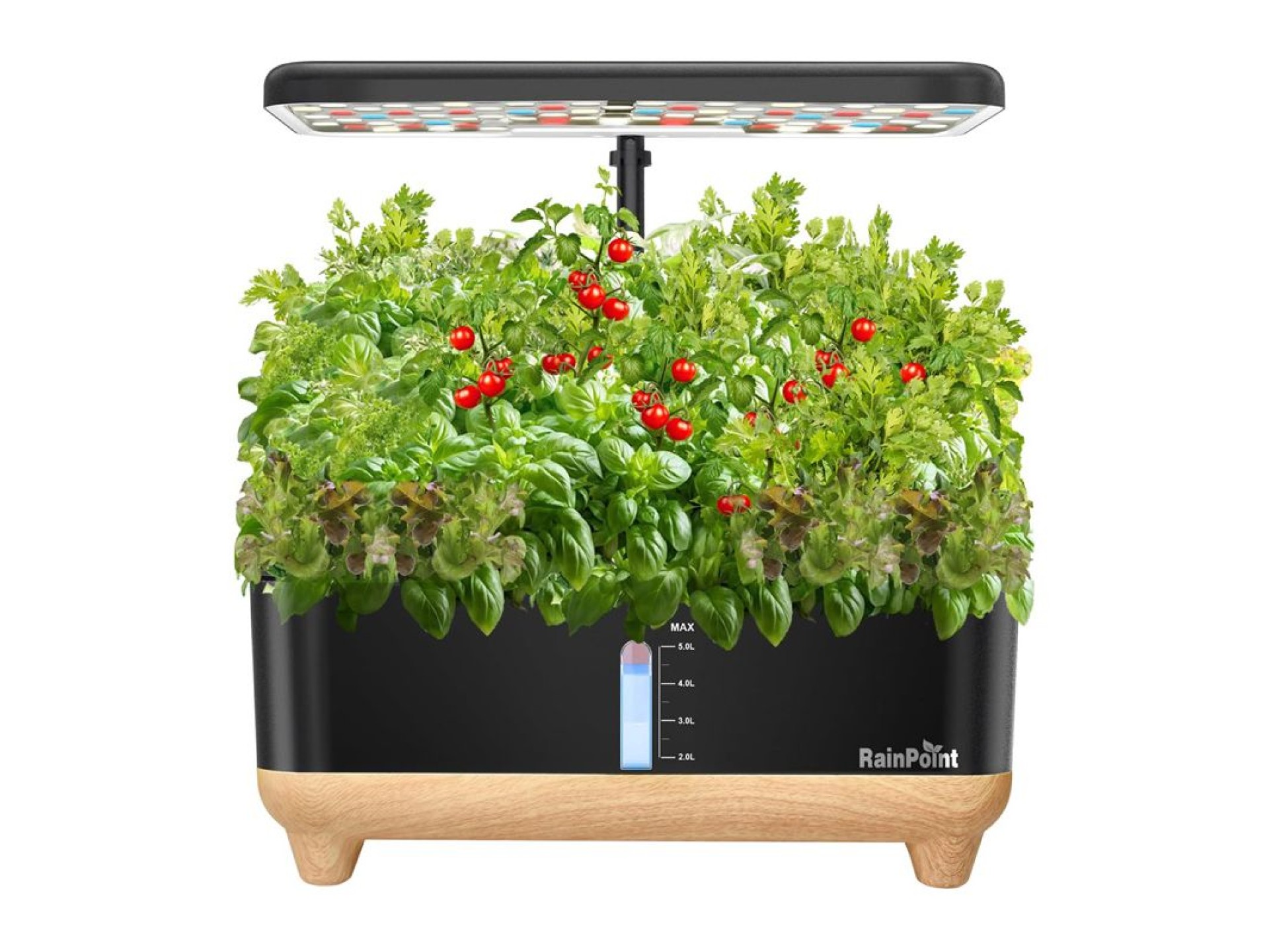 RainPoint Hydroponic Growing Kit