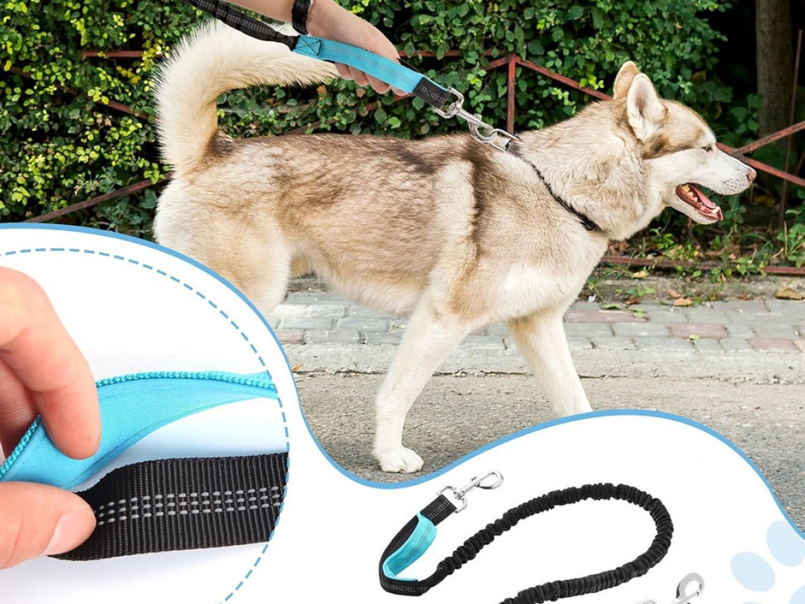Cinturón Wozinsky WPST-01 con bolsillo y correa elástica para correr con perro - Negro