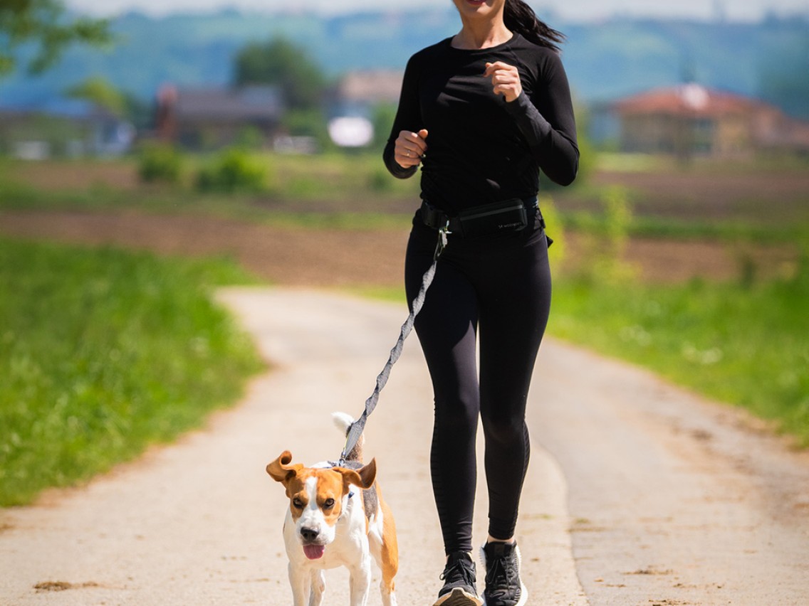 Cinturón Wozinsky WPST-01 con bolsillo y correa elástica para correr con perro - Negro