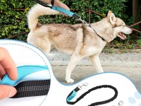 Cinturón Wozinsky WPST-01 con bolsillo y correa elástica para correr con perro - Negro Cinturón Wozinsky WPST-01 con bolsillo y correa elástica para correr con perro - Negro