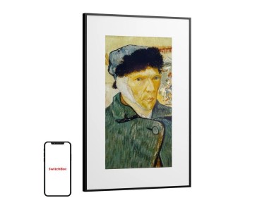 SwitchBot AI Art Frame 31.5" Digital Photo Frame