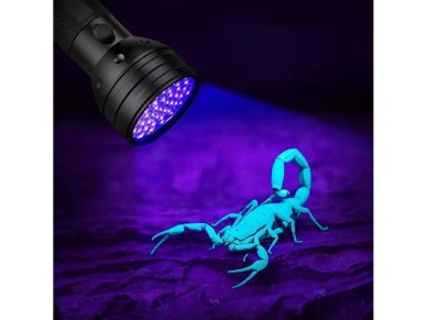 Wozinsky WLT-51L IP65 UV Flashlight for Trace Detection - Black Wozinsky WLT-51L IP65 UV Flashlight for Trace Detection - Black