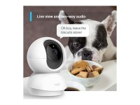 TP-Link Tapo TC70 Video Surveillance Camera / Night Vision / App Control