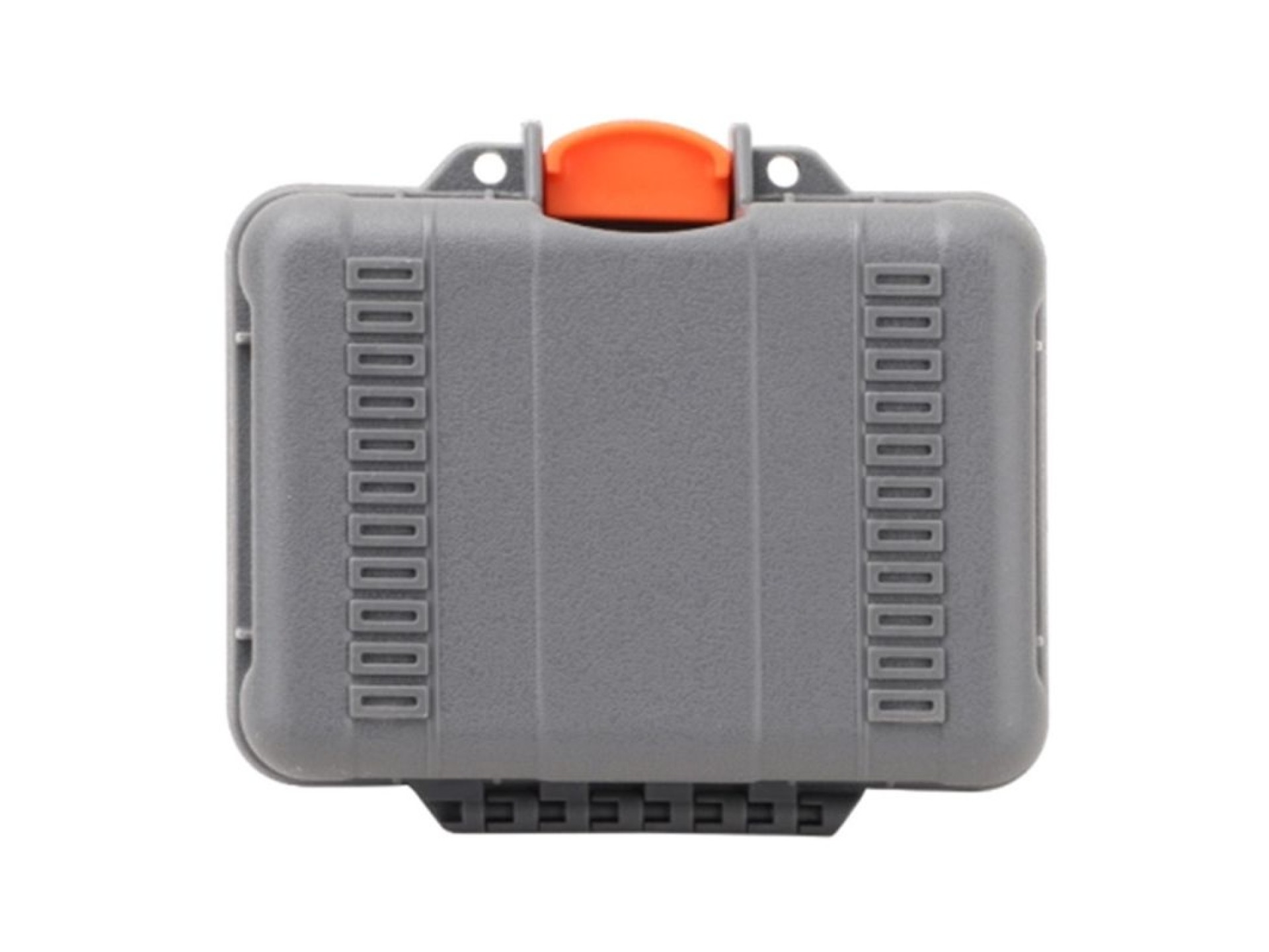 Twarde etui mini Sunnylife do Action 6