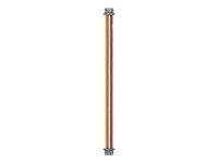 Cable 3-in-1 DJI O4 Air Unit Pro